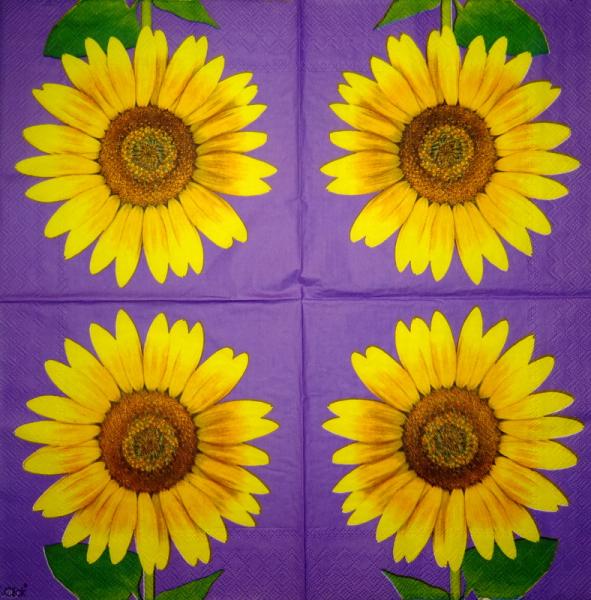 050 Sunflowers - 3-ply (black) - Ihr